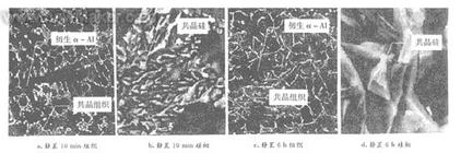 Al-5Ti-1B-10RE细化处理后分别静置10 min和6 h合金的显微组织