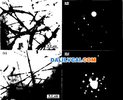 析出相的TEM 照片及电子衍射图