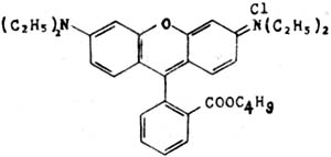 萃取分离－丁基罗丹明