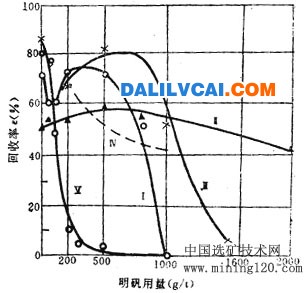 明矾对矿物浮选的影响