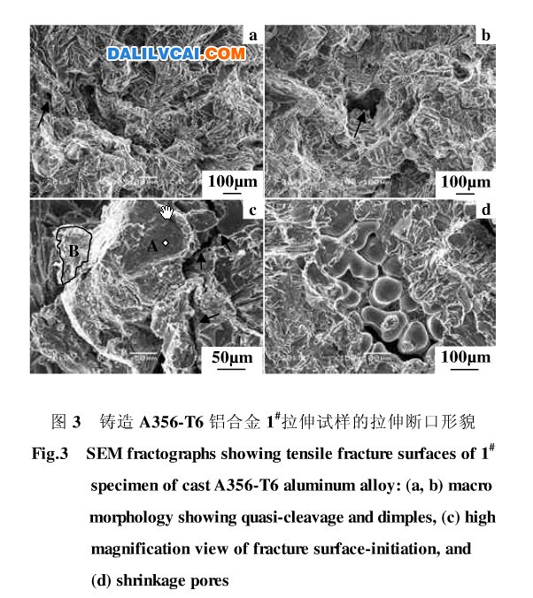 图3 铸造A356-T6铝合金1#拉伸试样的拉伸断口形貌