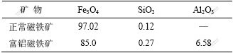 磁化焙烧-磁选精矿中磁铁矿主要成分图