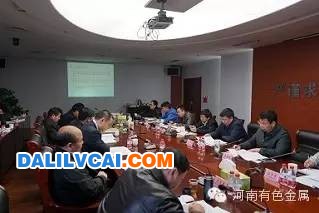 河南省有色金属协会召开省铝电解“破局之路”研讨会