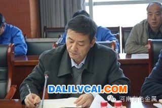 河南中孚实业股份有限公司总经理张松江发言