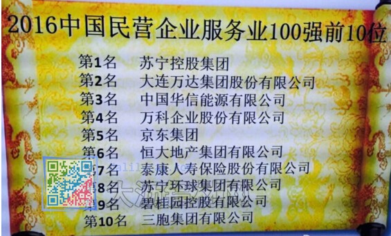 2016中国民营企业服务业500强前10名完整名单