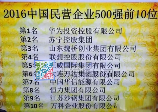 2016年中国民营企业500强前10位名单