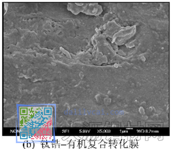 钛锆有机复合转化膜-6063铝合金表面不同转化膜的电镜照片