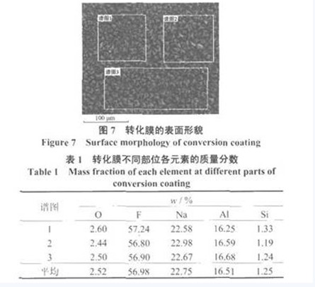 转化膜的表面形貌