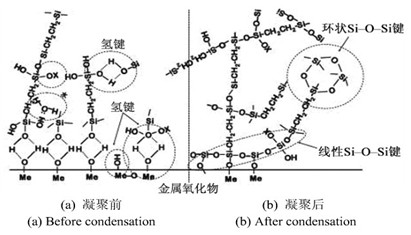 三维网状结构的硅烷膜