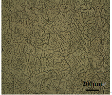 变质合金铸态金相