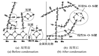 铝合金表面硅烷成膜过程